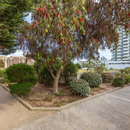 Apartmán Clube Mar Flat T1 *